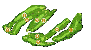 コース全体俯瞰図