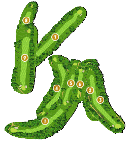 コース全体俯瞰図