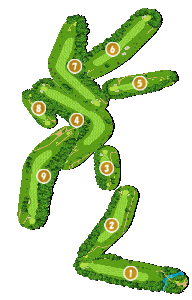 コース全体俯瞰図