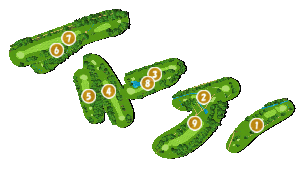 コース全体俯瞰図