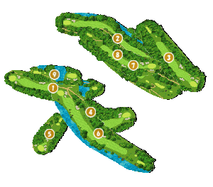 コース全体俯瞰図