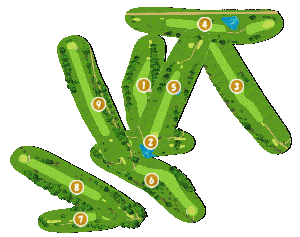 コース全体俯瞰図