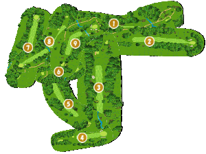 コース全体俯瞰図