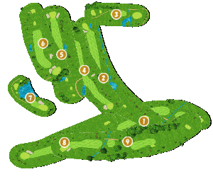 コース全体俯瞰図