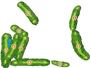 コース全体俯瞰図