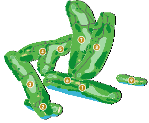 コース全体俯瞰図