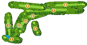 コース全体俯瞰図