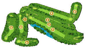 コース全体俯瞰図