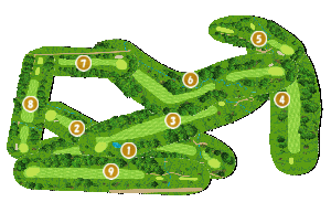 コース全体俯瞰図