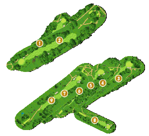 コース全体俯瞰図