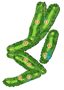 コース全体俯瞰図