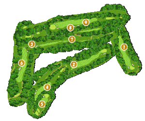 コース全体俯瞰図