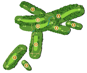 コース全体俯瞰図