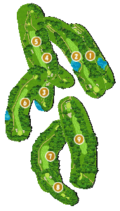 コース全体俯瞰図