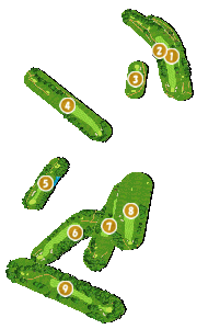 コース全体俯瞰図