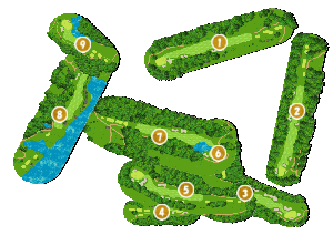 コース全体俯瞰図