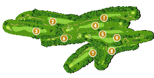 コース全体俯瞰図