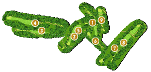 コース全体俯瞰図