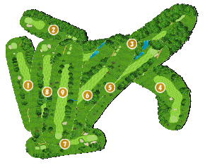 コース全体俯瞰図