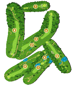 コース全体俯瞰図