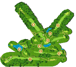 コース全体俯瞰図