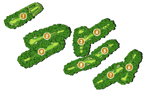 コース全体俯瞰図