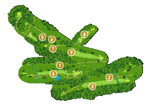 コース全体俯瞰図