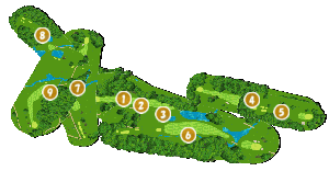 コース全体俯瞰図