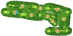 コース全体俯瞰図