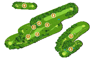 コース全体俯瞰図