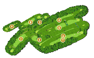 コース全体俯瞰図