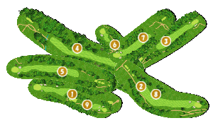 コース全体俯瞰図