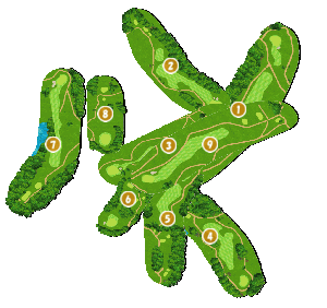 コース全体俯瞰図