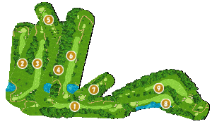 コース全体俯瞰図