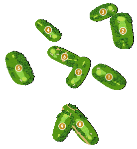 コース全体俯瞰図