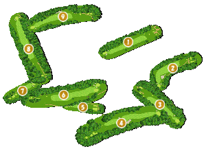 コース全体俯瞰図