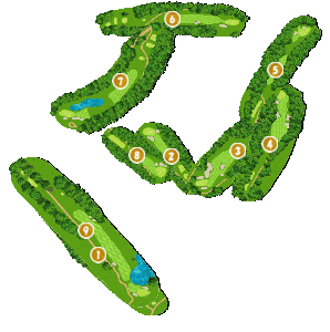 コース全体俯瞰図