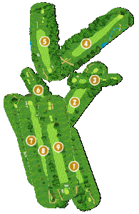 コース全体俯瞰図