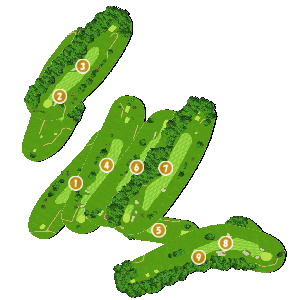 コース全体俯瞰図