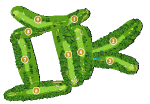 コース全体俯瞰図