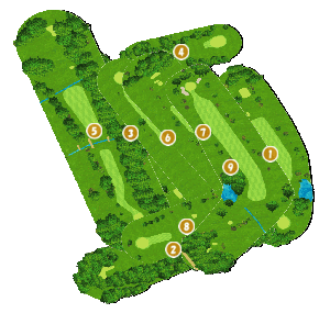 コース全体俯瞰図