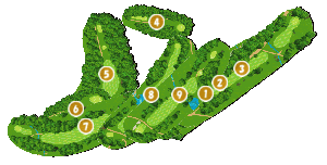 コース全体俯瞰図