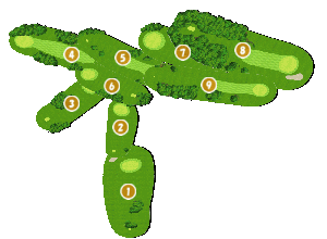 コース全体俯瞰図