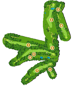 コース全体俯瞰図