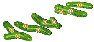 コース全体俯瞰図