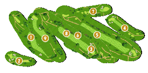 コース全体俯瞰図