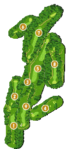 コース全体俯瞰図