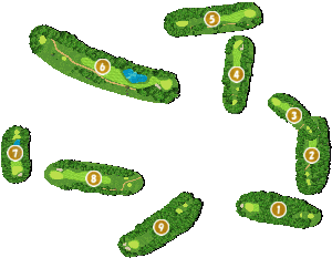 コース全体俯瞰図