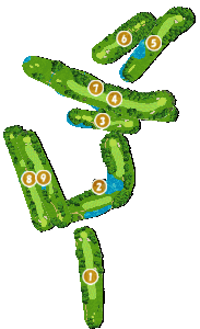 コース全体俯瞰図