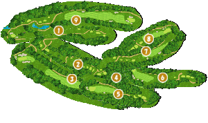 コース全体俯瞰図